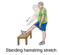 Phase I: Seated Hamstring Stretch