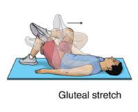 Hip bursitis Stretches & Exercises